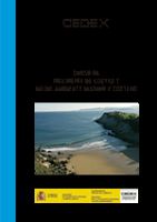 Portada de Curso de ingeniería de costas y medio ambiente marino y costero